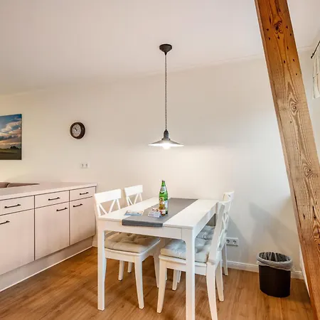 Paulsen - Austernfischer