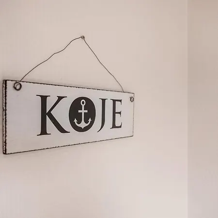 Paulsen - Austernfischer * Pellworm