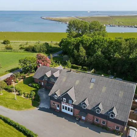 Appartement Paulsen - Austernfischer *