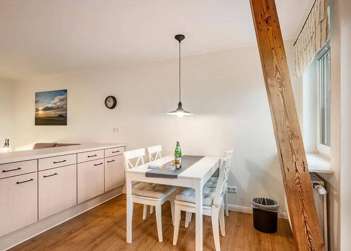 Paulsen - Austernfischer