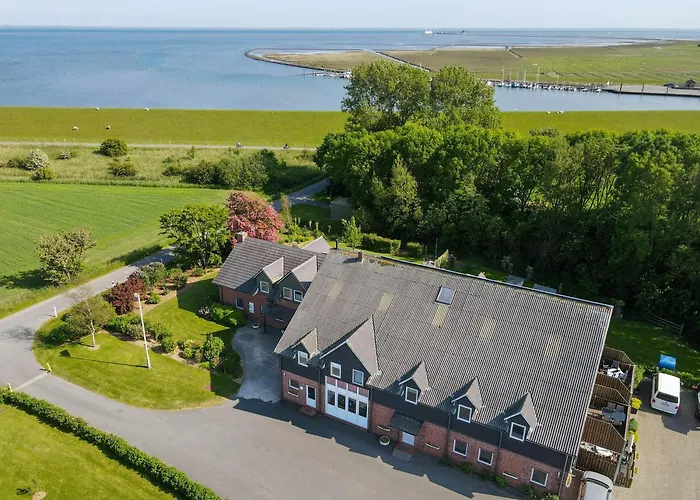 Appartement Paulsen - Austernfischer *