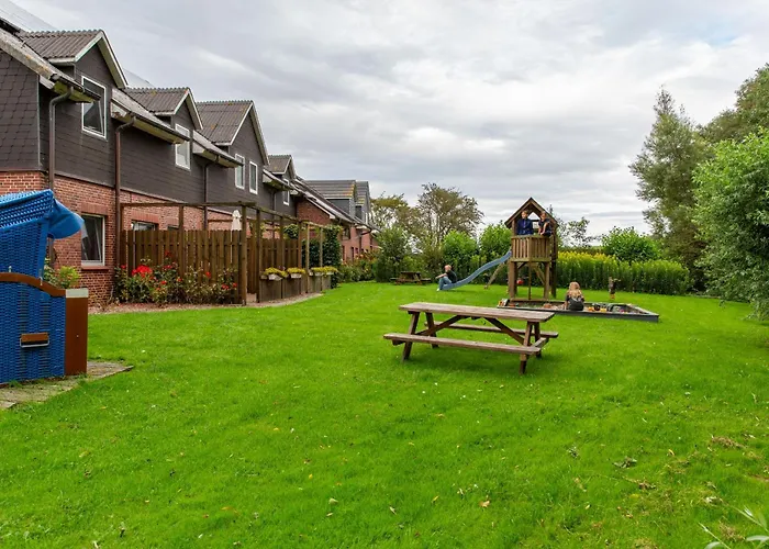 Paulsen - Austernfischer *